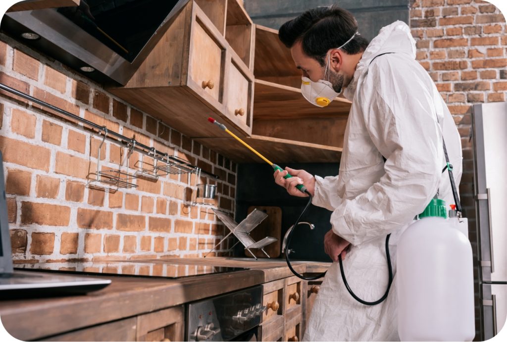 Cleaning technician carrying out professional kitchen sanitisation using targeted spray treatment and protective equipment.