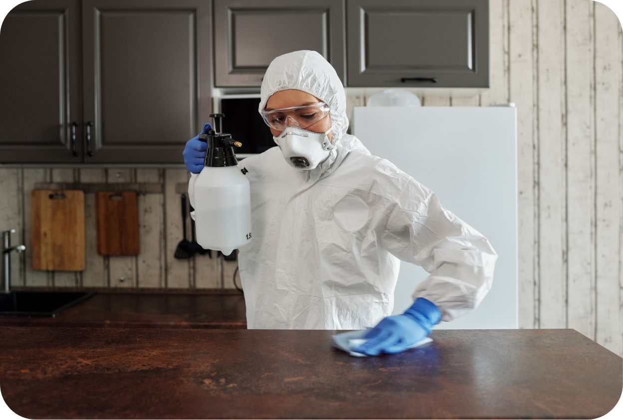 Fogging and Sanitising